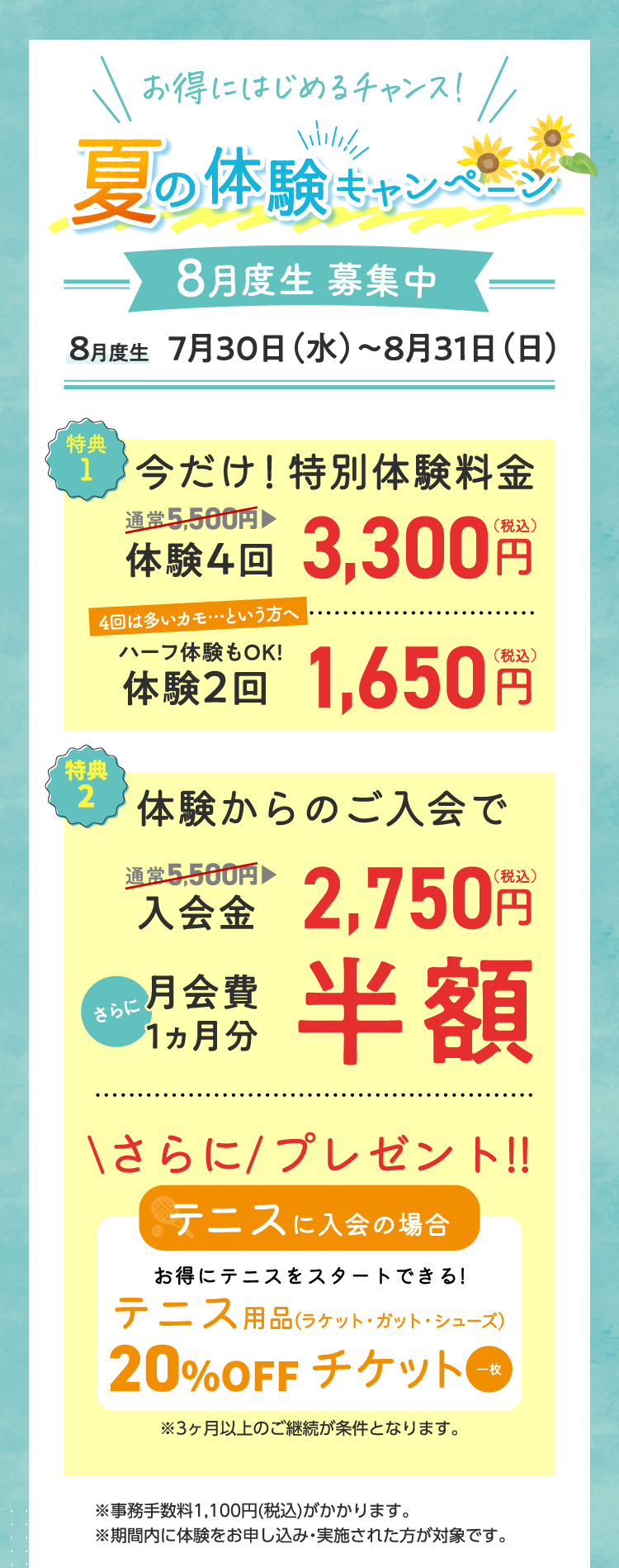 夏の体験キャンペーン