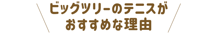 ビッグツリーのテニスがおすすめな理由